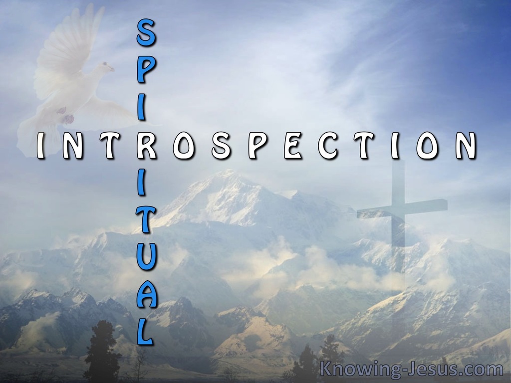 Spiritual Introspection (devotional) (blue)